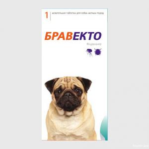 Фотография Кошкин дом 1