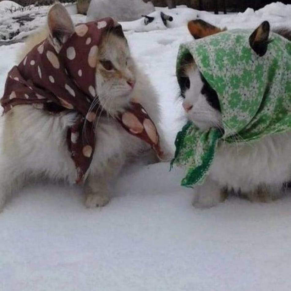 слайд