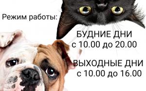 Фотография Ветеринарный центр 0