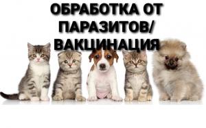 Фотография Ветеринарный центр 2