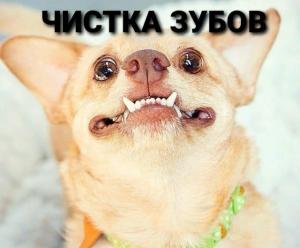 Фотография Ветеринарный центр 3