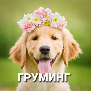 Фотография Ветеринарный центр 4