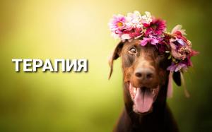 Фотография Ветеринарный центр 5