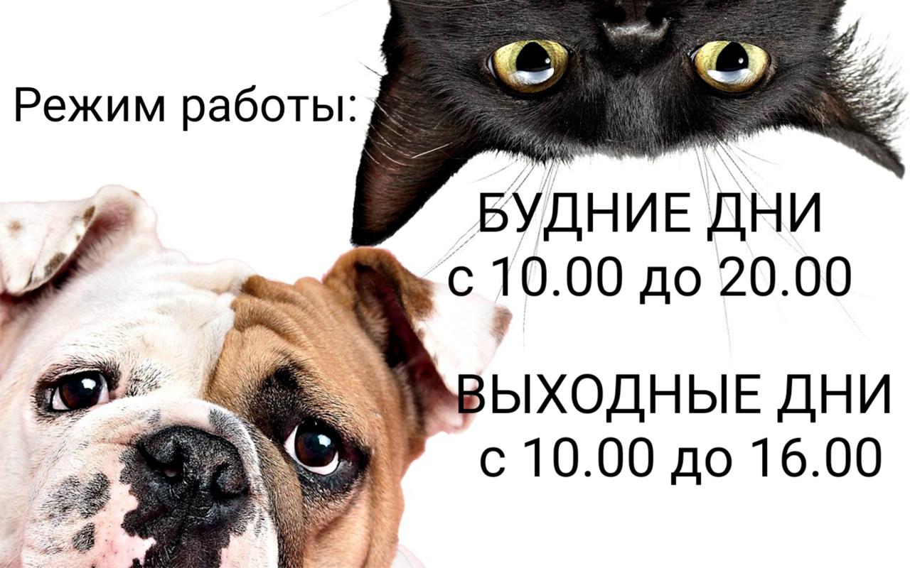 слайд